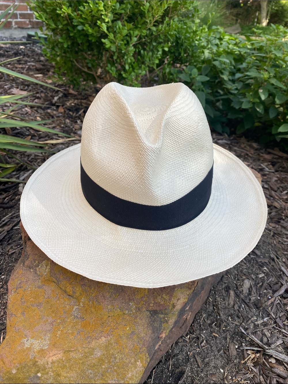 Montecristi Classic Panama-Style Straw Fedora with Black Grosgrain Band Size 57